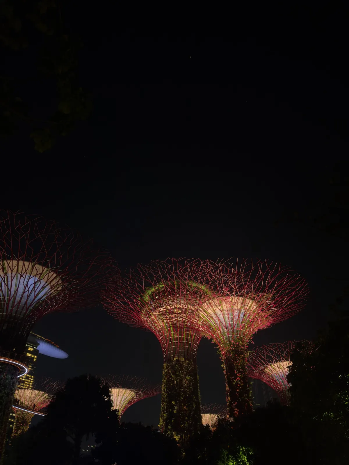 The Supertrees at Gardens by the Bay at night, their steel canopies lit red and pink against a black sky.