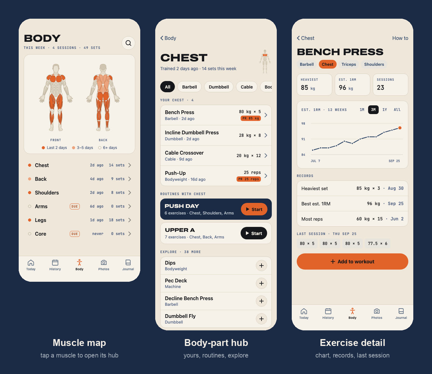 Mock screens for the Body tab: the muscle map, the Chest hub and the Bench Press detail page